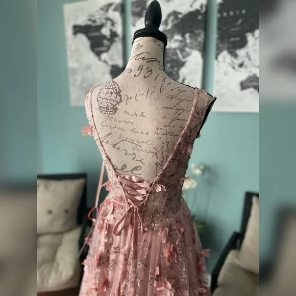 SOLD OUT Blush sparkly a line prom dress, ball gown or non traditional - Picture 5 of 5